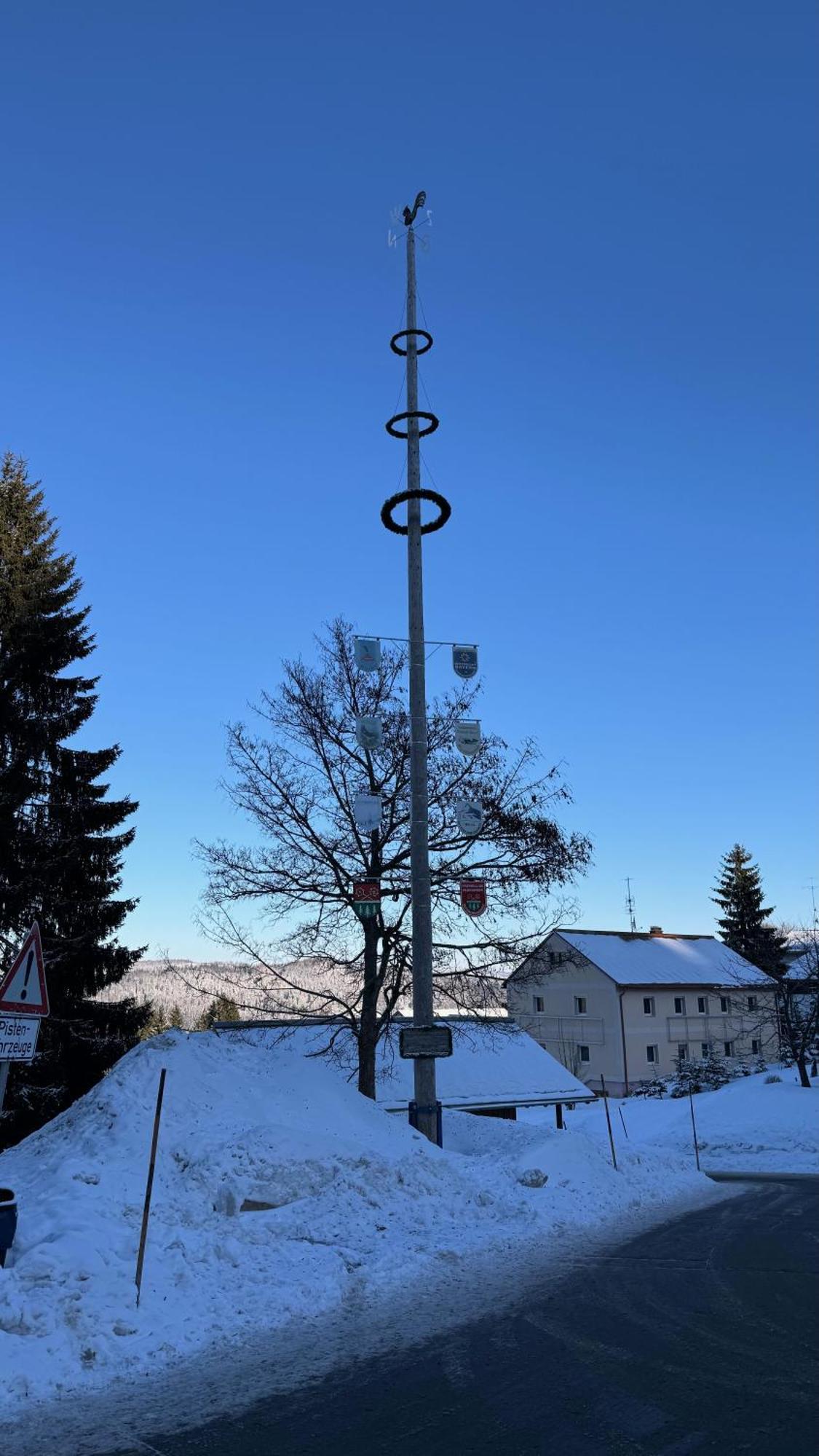 Mitterdorf Almberg X29 Mitterfirmiansreut Exterior foto